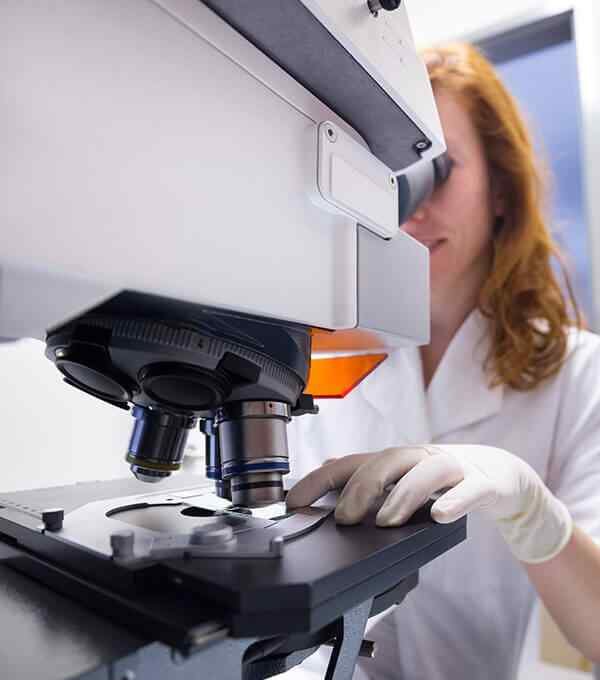 临床前药学研究