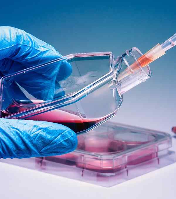 https://deepfda.com/wp-content/uploads/2020/04/service_5.jpg